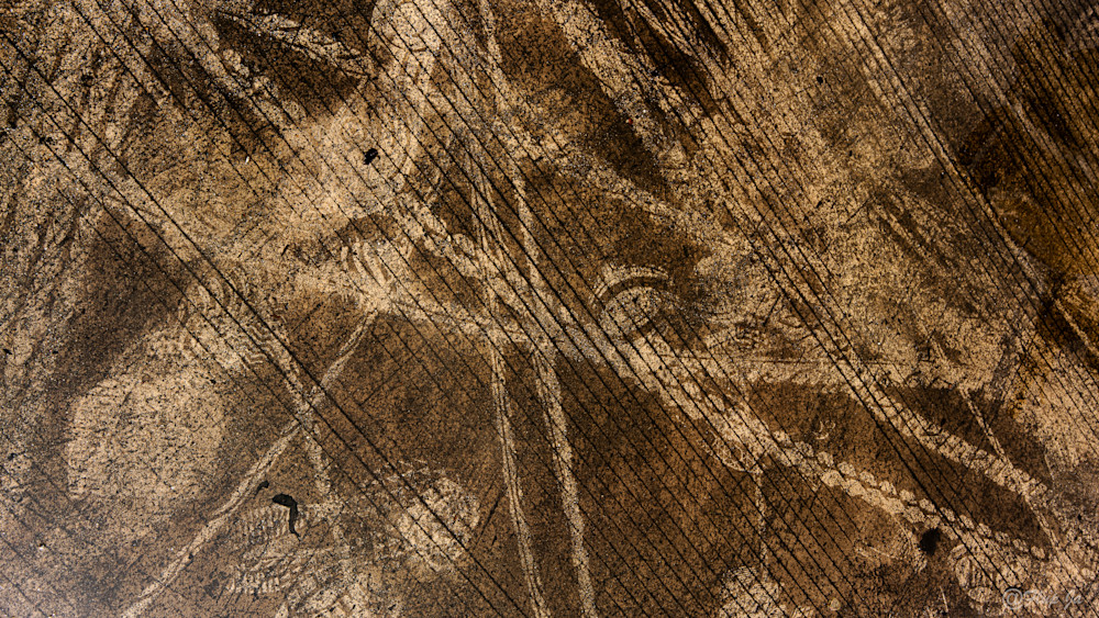 Ground Abstract  Marks.Jpg Photography Art | philippejanssens