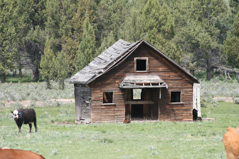 Lauras Photo Of An Old Barn Art | Fine Art by Terrie D