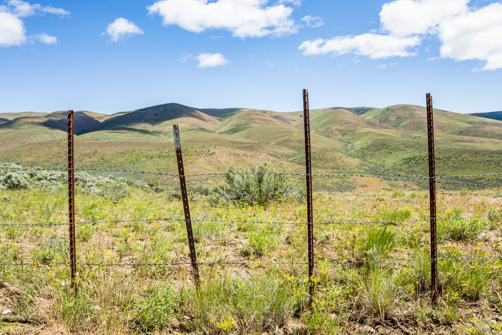 A barbed wire fence and the hills near Umtanum Ridge in Eastern Washington, USA.