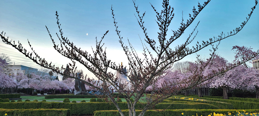 Oregon State Capitol Backdrop Photography Art | InYourBackyard