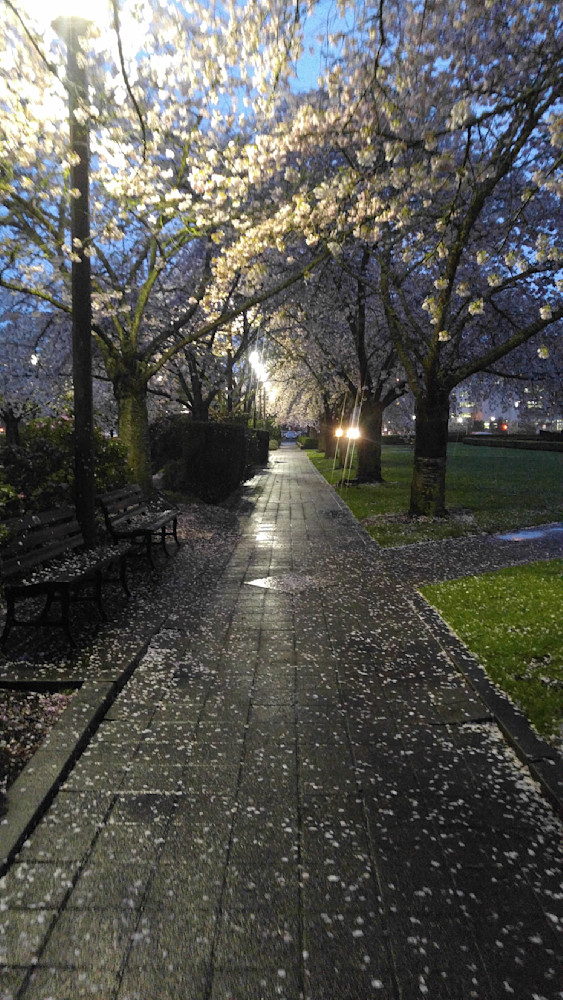 charset=InvalidCharsetId 0,5,-6 FN=0 lidx=404.83    FM0   FC111111111:zzzzzz0 b194 078043874441663838014c0 bac2fd1572b3639d11393c014cda11b37a84b4c fd2d823fd21342b1e3c6e13d35c546ce1463bbc4e1d14f429b54a71584870584915d487b53a214f47775041