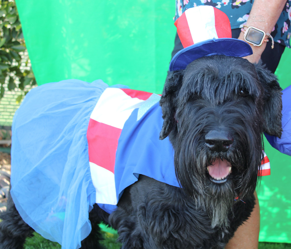 Img 3327 2.Jpg Art | Whiskers and Waggers