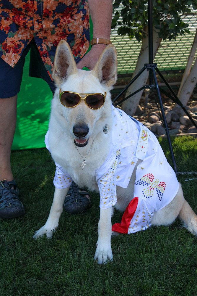 Img 3315.Jpg Art | Whiskers and Waggers