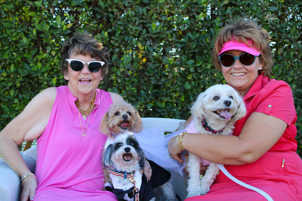 Img 3191 2.Jpg Art | Whiskers and Waggers