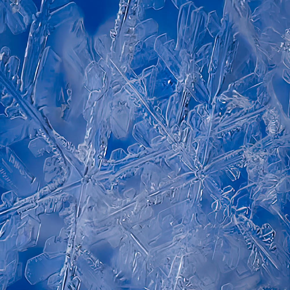 Frozen Shard – abstract ice photography
