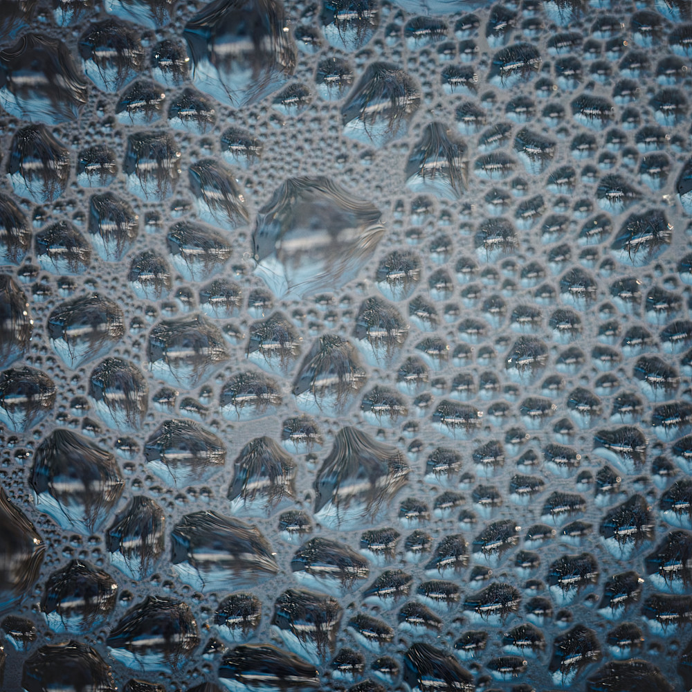 Synthetic Reef – fine art nature photography