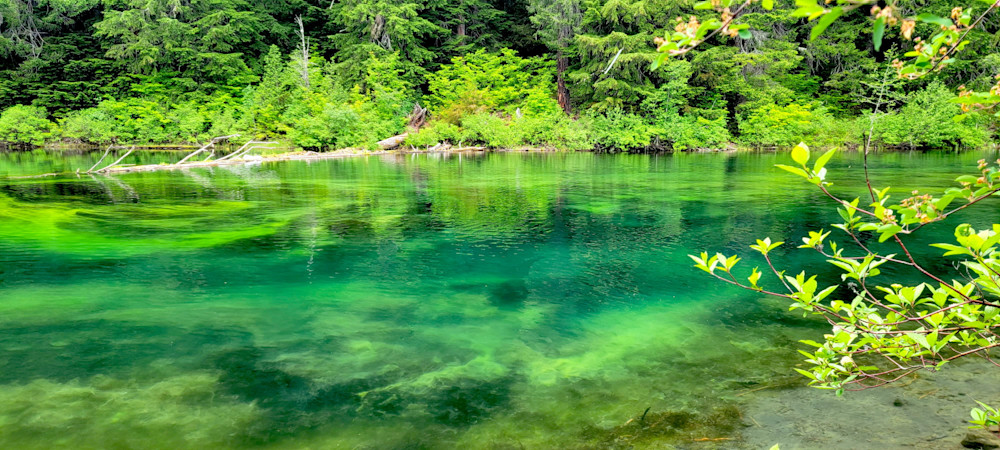 Clear Lake Landscape Photography Art | InYourBackyard