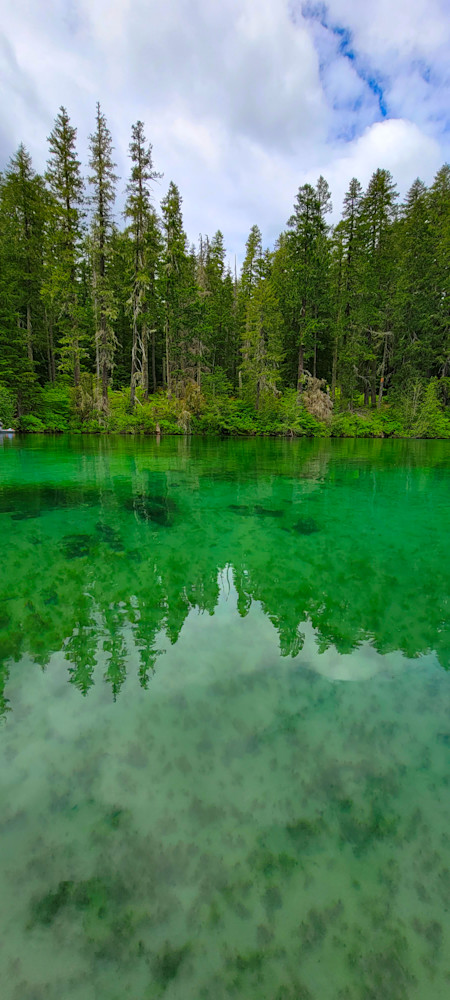 Green Tree Reflections At Clear Lake Photography Art | InYourBackyard