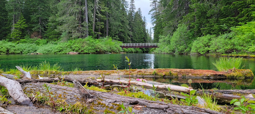 Bridge At Clear Lake Photography Art | InYourBackyard