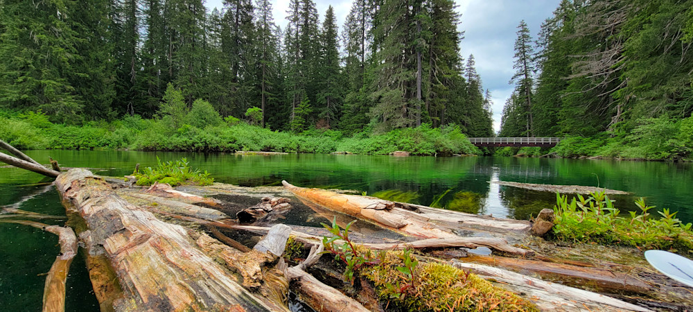 Clear Lake Raw Logs & Bridge Photography Art | InYourBackyard