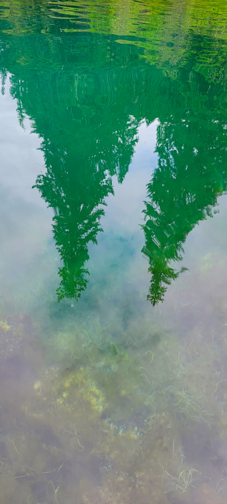 Tree Reflections At Clear Lake Photography Art | InYourBackyard