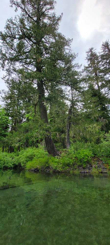 Clear Lake Along The River Bank Photography Art | InYourBackyard
