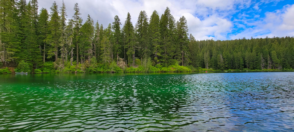 Clear Lake Greenery Photography Art | InYourBackyard