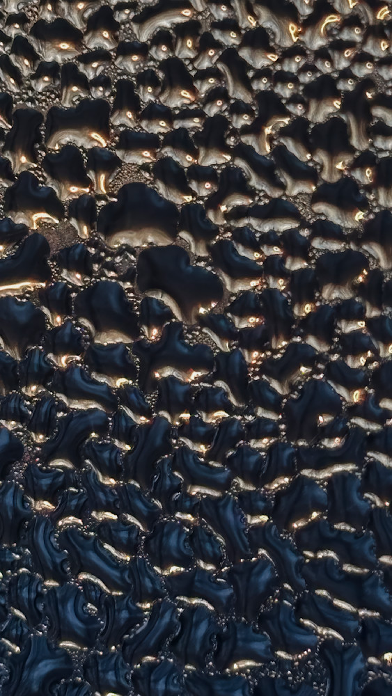 Into the Light – fine art nature photography