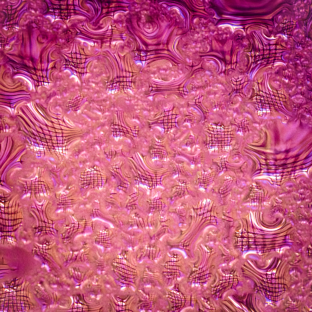 LSD – fine art nature photography