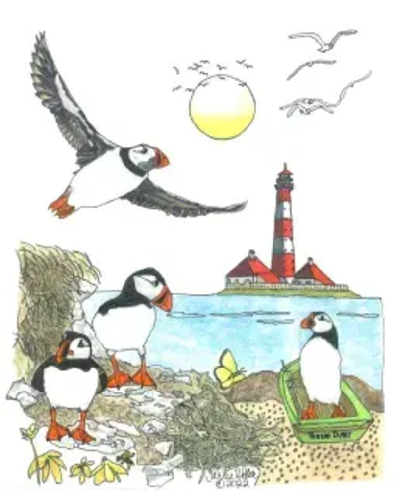 Four Puffin By The Sea Art | Fine Art by Terrie D