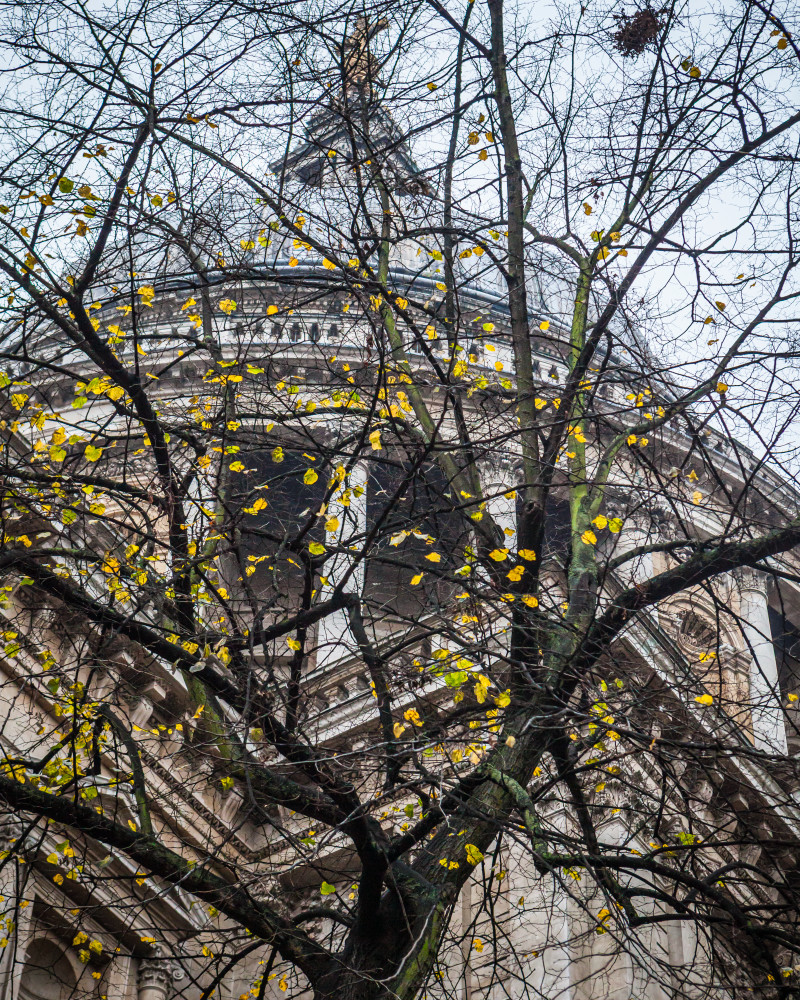 St Peters Church through Winter Trees
