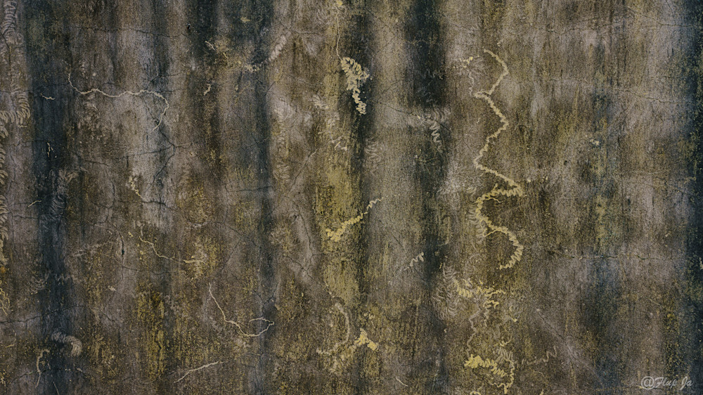 4 Back Temple' S Wall.Jpg Photography Art | philippejanssens