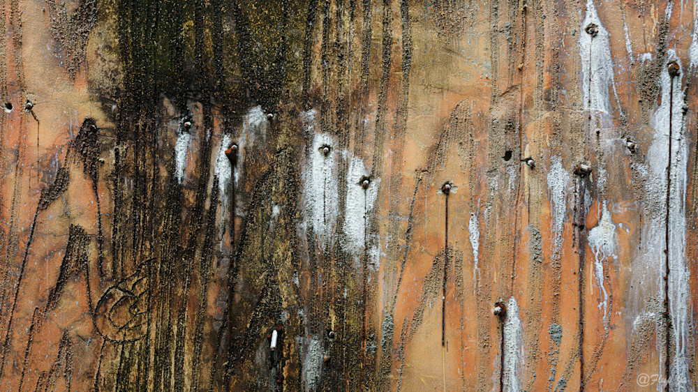 Zoo's Wall.Jpg Photography Art | philippejanssens