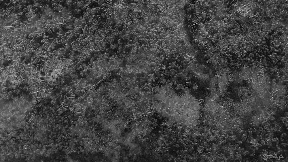 2 Iced Landscapes.Jpg Photography Art | philippejanssens