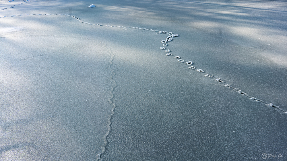 Iced Water Landscape .Jpg Photography Art | philippejanssens