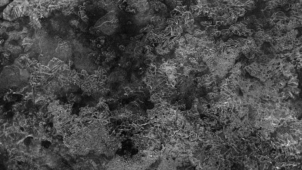 3 Iced Landscape.Jpg Photography Art | philippejanssens