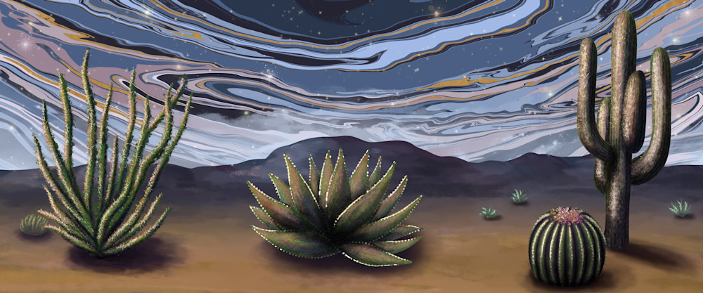 Cactus Star Dust Fine Art Print, Contemporary Desert Wall Art