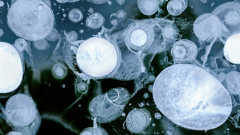 Dream Pods – fine art nature photography