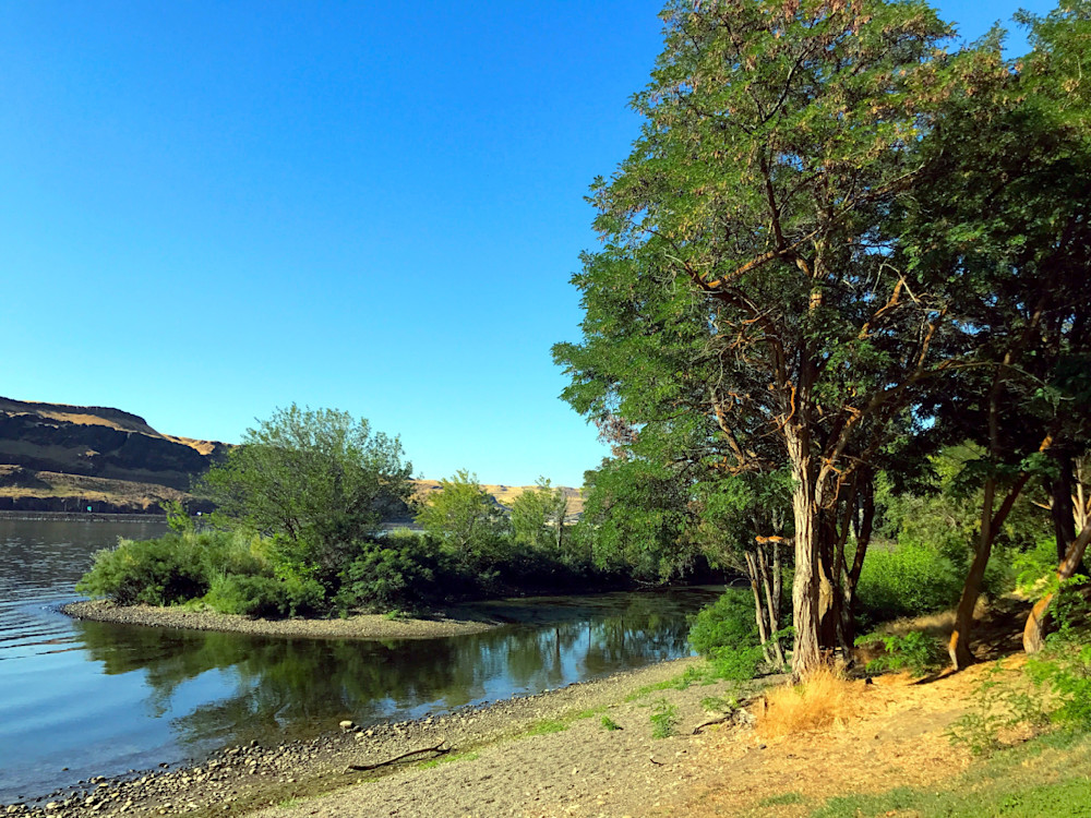 Columbia River Park Photography Art | InYourBackyard