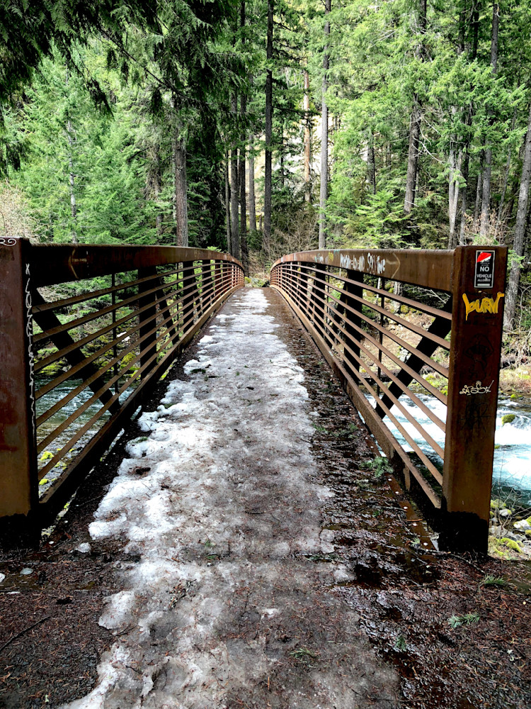Bridge To Toketee Falls Photography Art | InYourBackyard