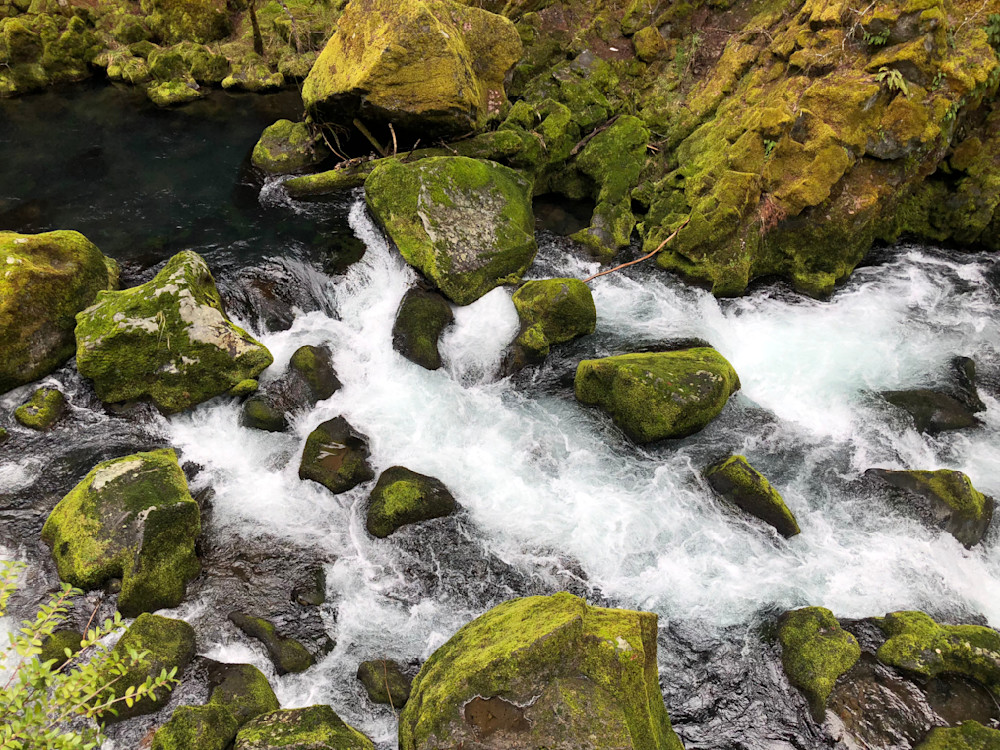 Mossy Rocks In Flowing River Photography Art | InYourBackyard