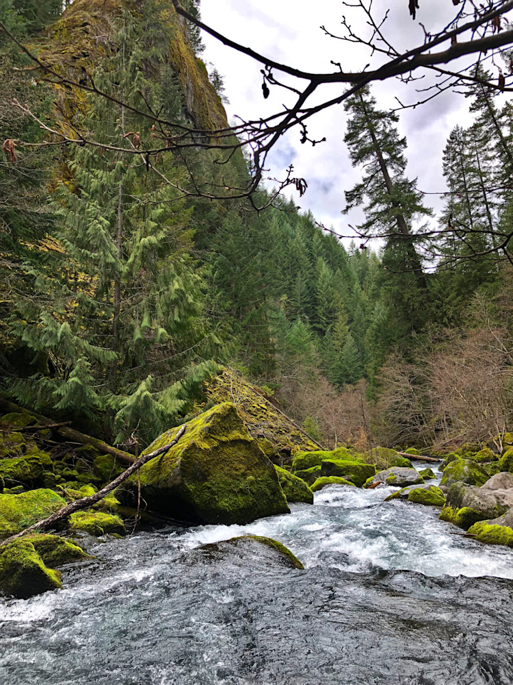 Along The  North Umpqua River From Toketee Falls Photography Art | InYourBackyard