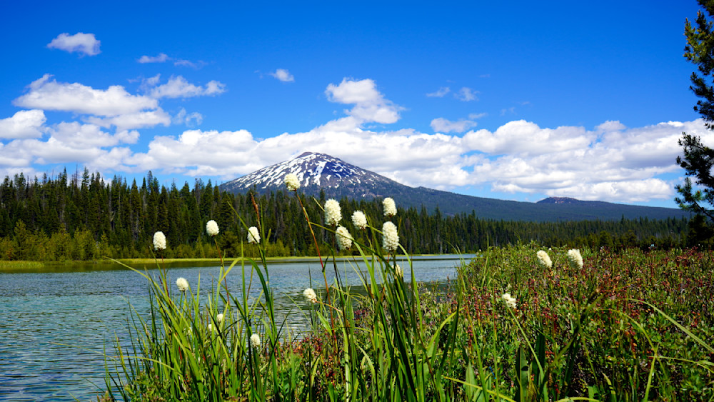 Bachelor At Hosmer Lake Photography Art | InYourBackyard