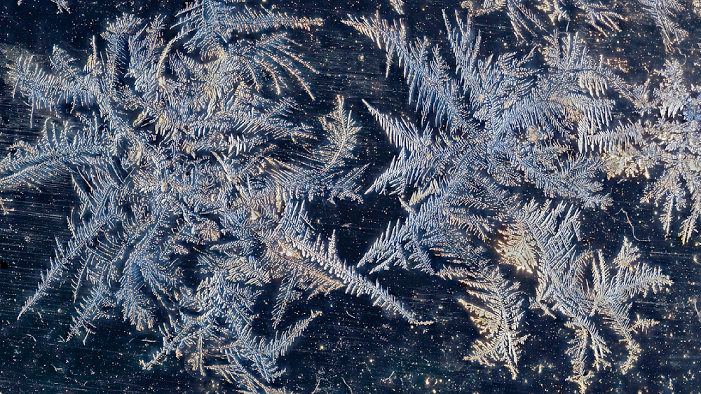 Frost Cartography – abstract ice photography