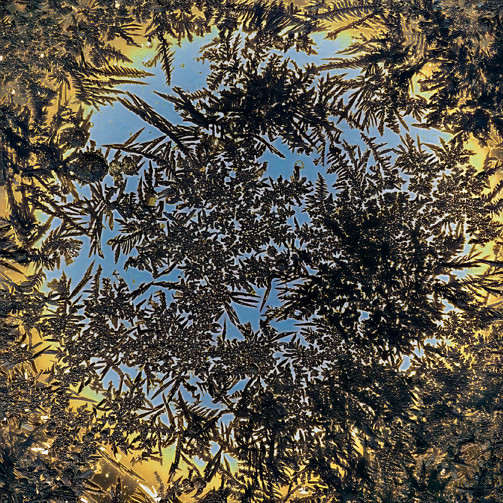 Tropical Winter – fine art nature photography