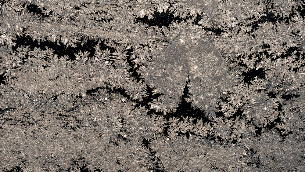 Emergence – fine art nature photography