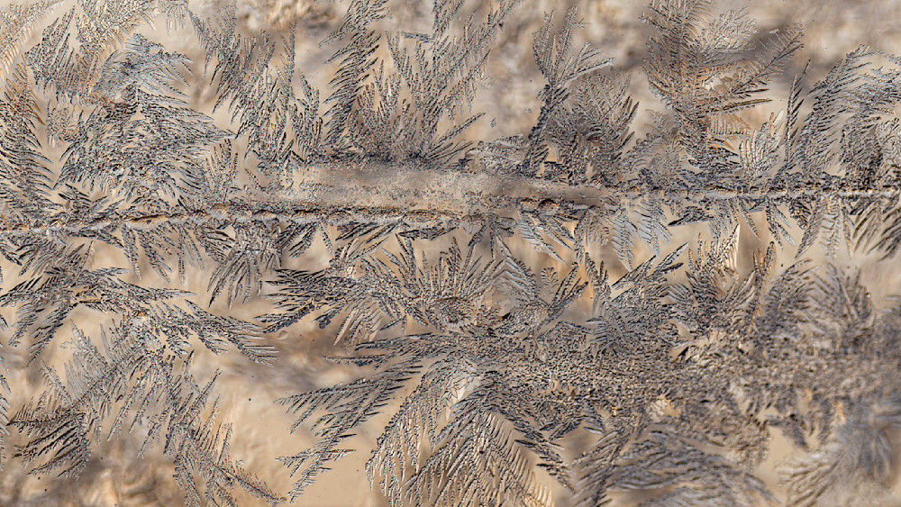 Frost line – abstract ice photography