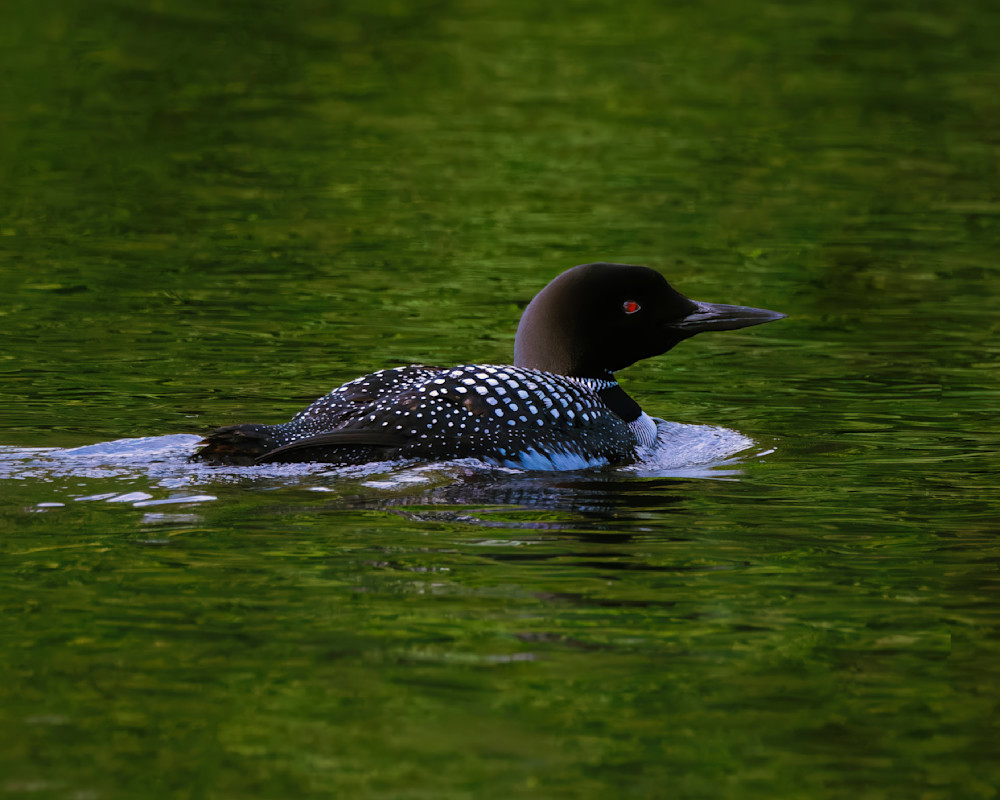 2022-11-18_234151.dng