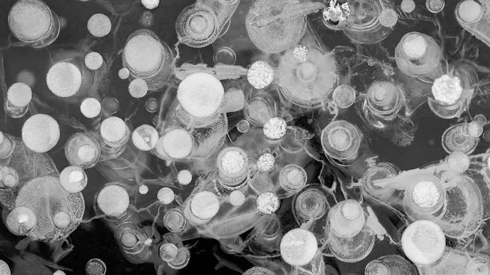 Target Practice – abstract ice photography