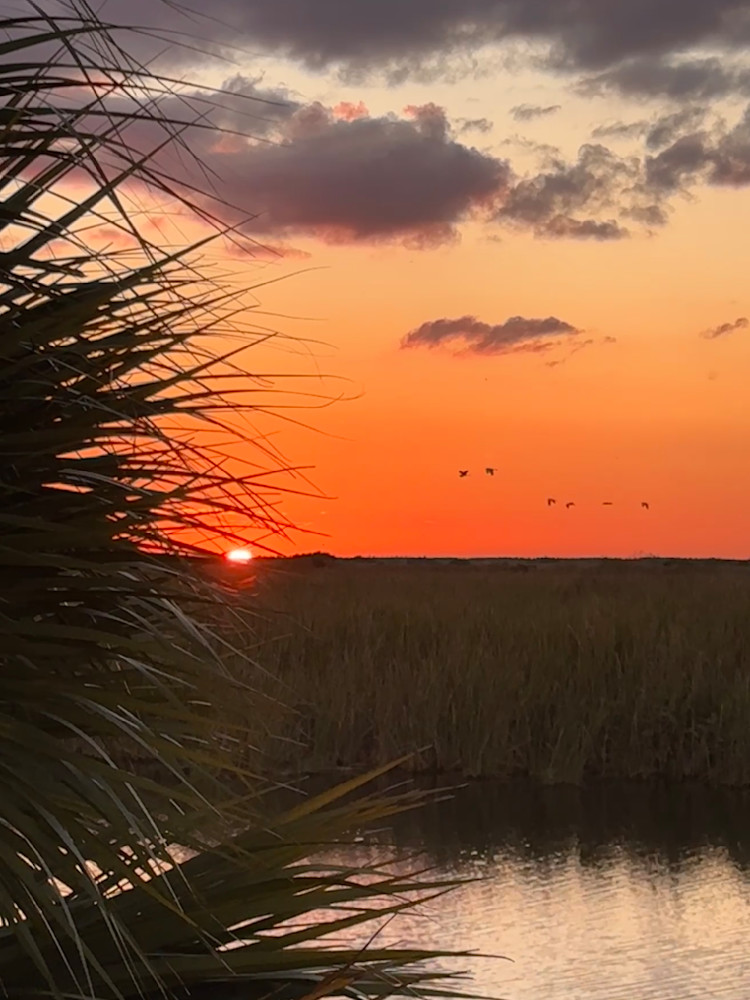 Sunset With Birds In Flight.Jpg Photography Art | Leilani Cyphers Photography