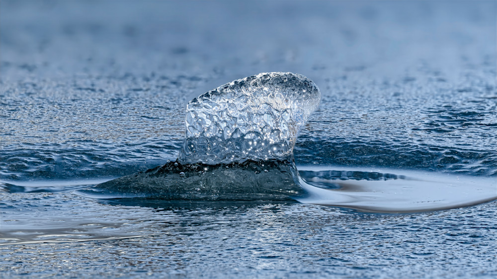 Texture Uprising – fine art nature photography