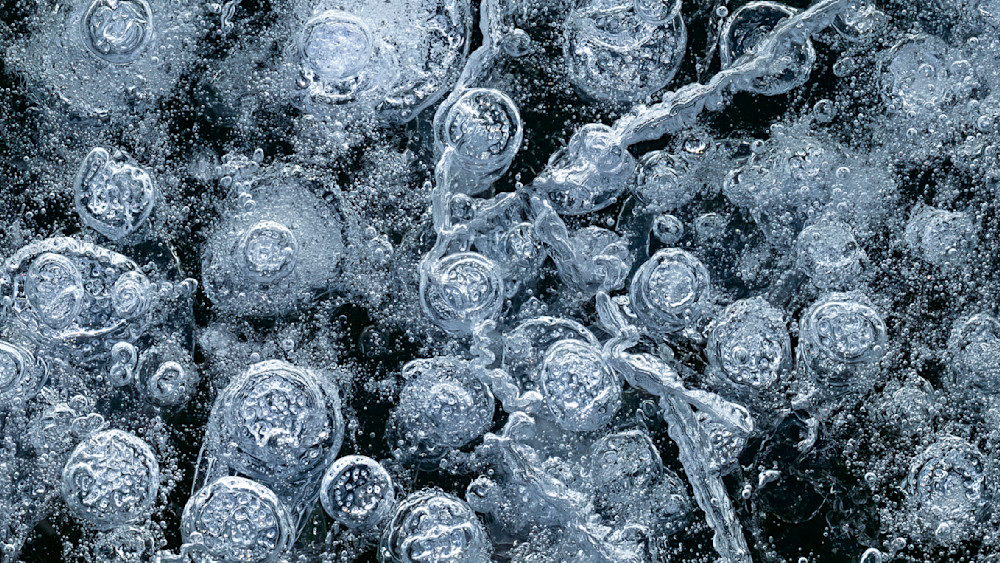 Winter Load – fine art nature photography