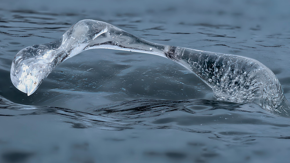Medill Arch – fine art nature photography