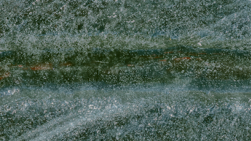 Under Force – fine art nature photography