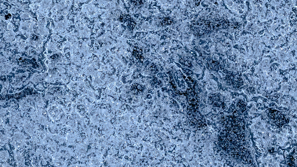 Winter Skin – fine art nature photography