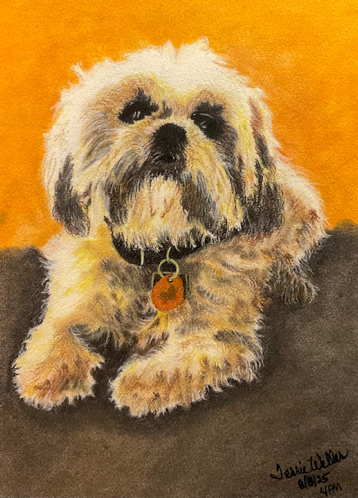 Tai Doggie Dog Art | Fine Art by Terrie D