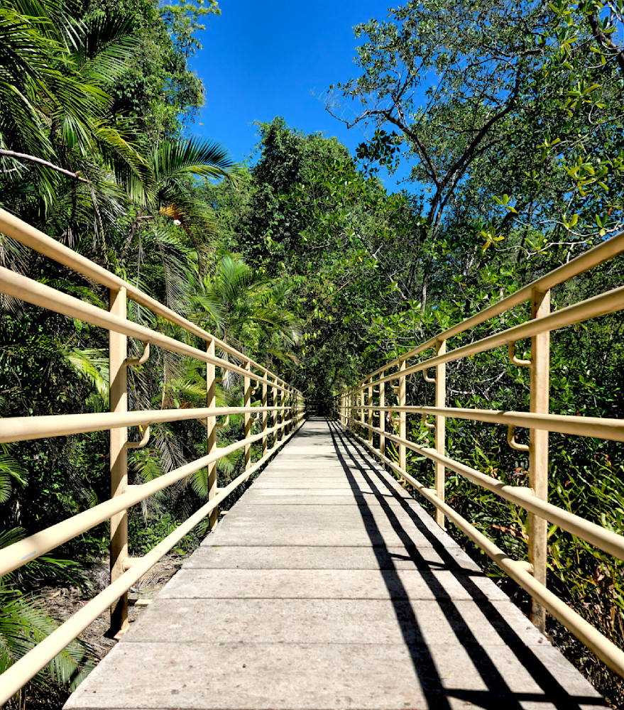 Jungle Bridge Costa Rica.Jpg Photography Art | InYourBackyard
