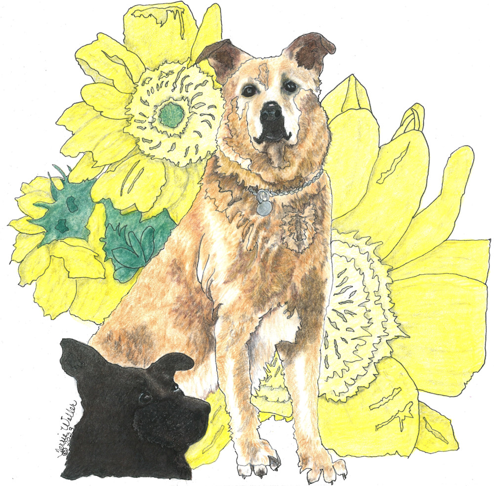 Lovable Sven With Daisies Art | Fine Art by Terrie D