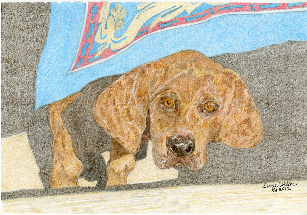 Rocky Art | Fine Art by Terrie D