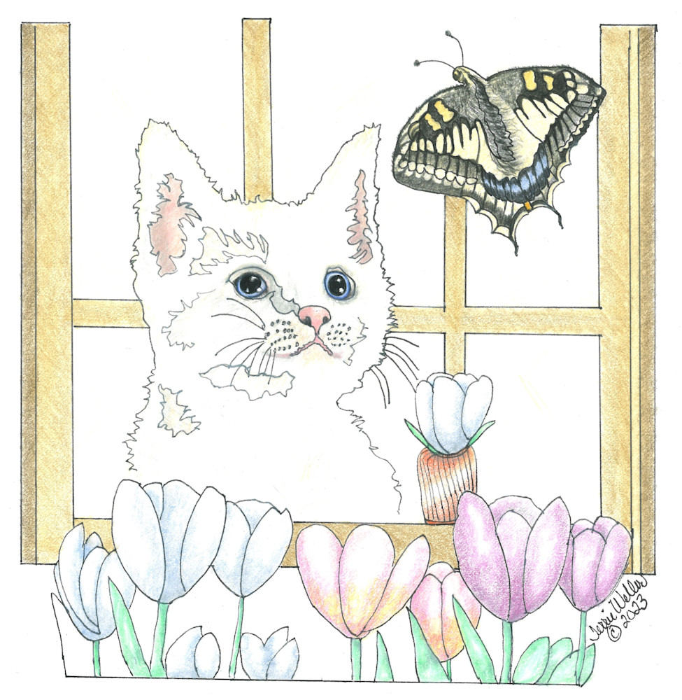Kitten With Butterfly Art | Fine Art by Terrie D